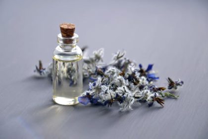 Essential Oils: Aromatherapy for Relaxation and Concentration